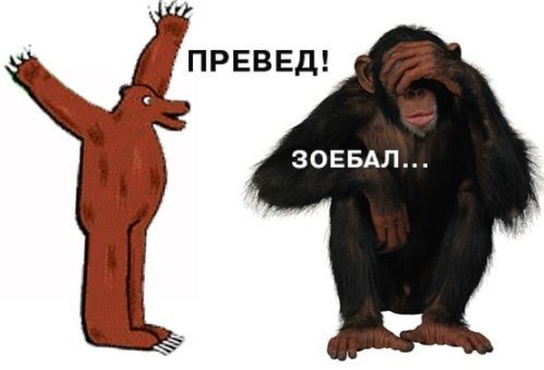 http://www.chatperm.ru/c/albumpic.php?picidx=275705&idstring=FJjhL5vpIhxnGwma&SID=a054bbbfbdf5bf853385bf5391a98d15