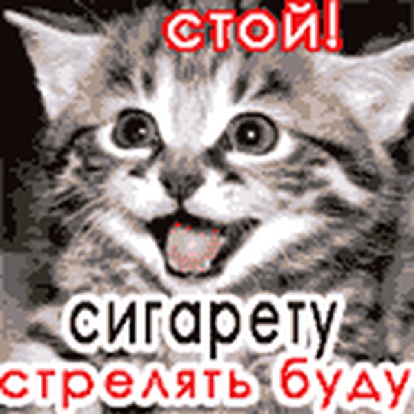 http://www.chatperm.ru/c/albumpic.php?picidx=331135&amp;idstring=EP4QblhDjuy3g2qz&amp;SID=0044a9d8d43dca59a442acada24fb3f5